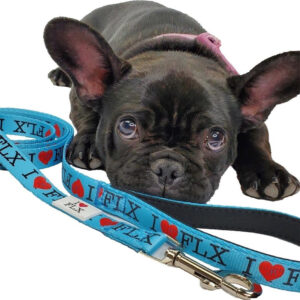 I Heart FLX Dog Leash